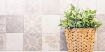 Plantas ideais para decorar a bancada da cozinha