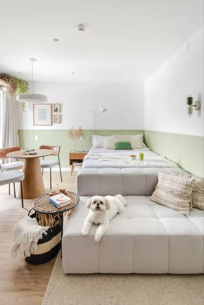 Arquitetura pet friendly: a casa pensada para moradores e seus pets