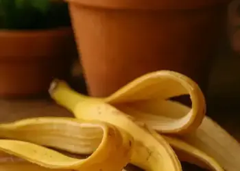 cropped-casca-banana-plantas-1.webp