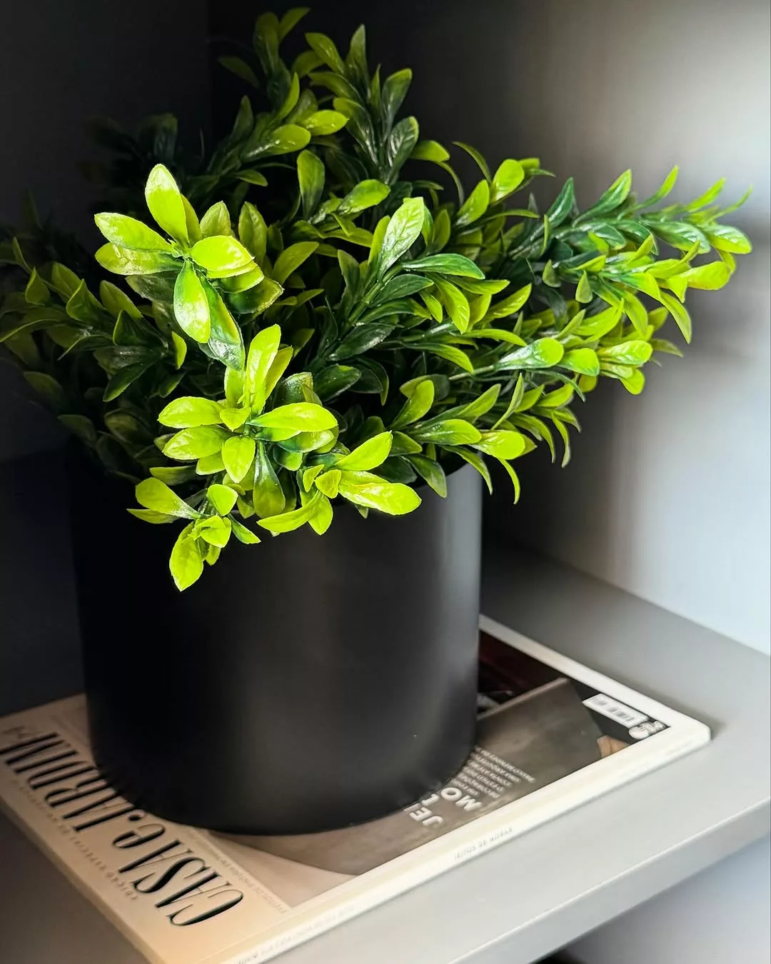 Plantas artificiais: aliadas ou vilãs da decoração? Entenda os prós e contras antes de usar