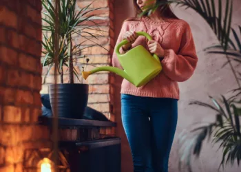 Você está regando as plantas do jeito errado? Veja como evitar o apodrecimento