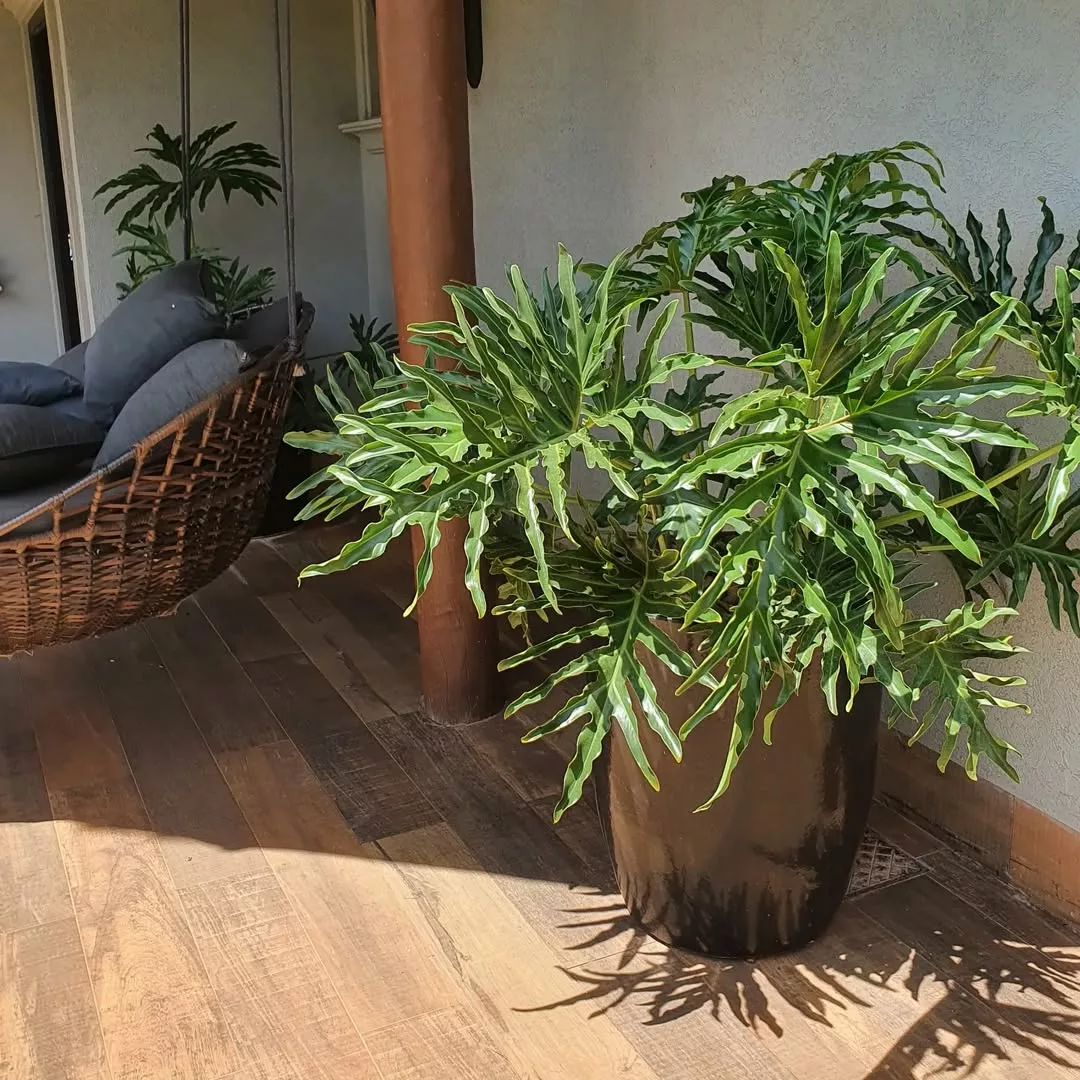 Como usar vasos vietnamitas na decoração da varanda e do jardim