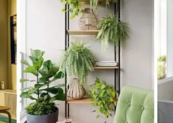cropped-varanda-verde-cp.webp