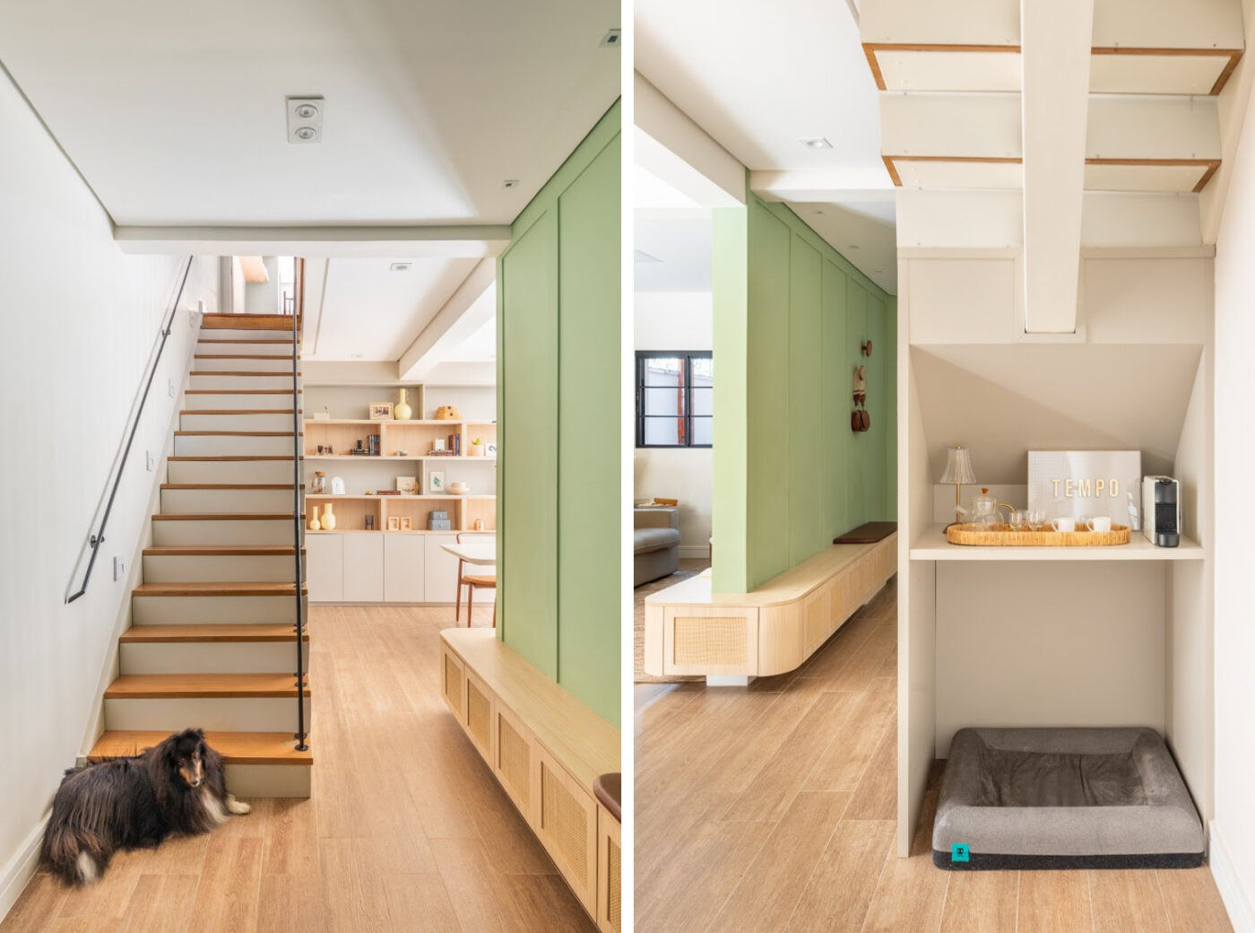 Dia Mundial dos Animais inspira tutores a olharem suas casas