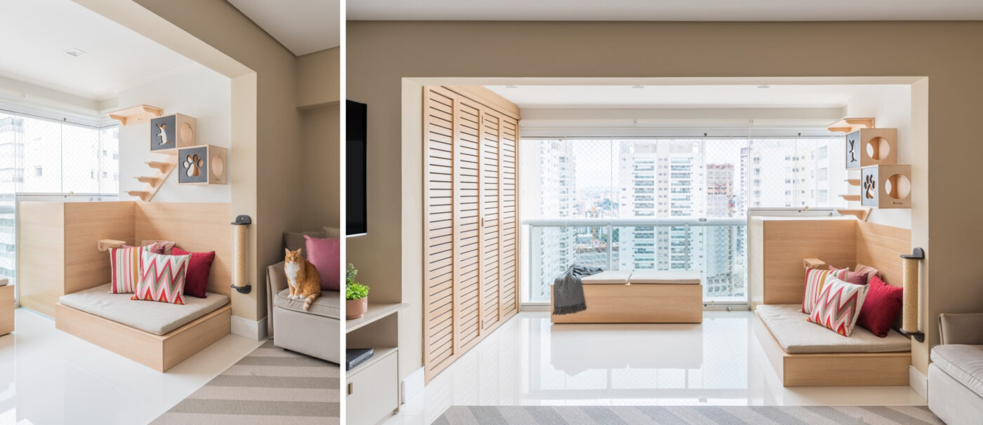 Dia Mundial dos Animais inspira tutores a olharem suas casas