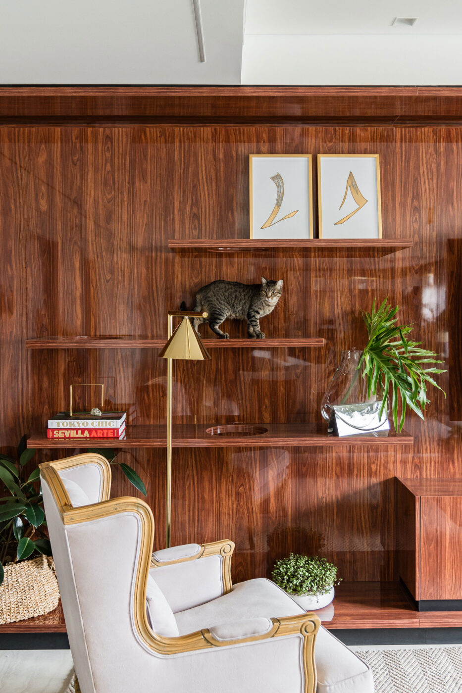 Dia Mundial dos Animais inspira tutores a olharem suas casas