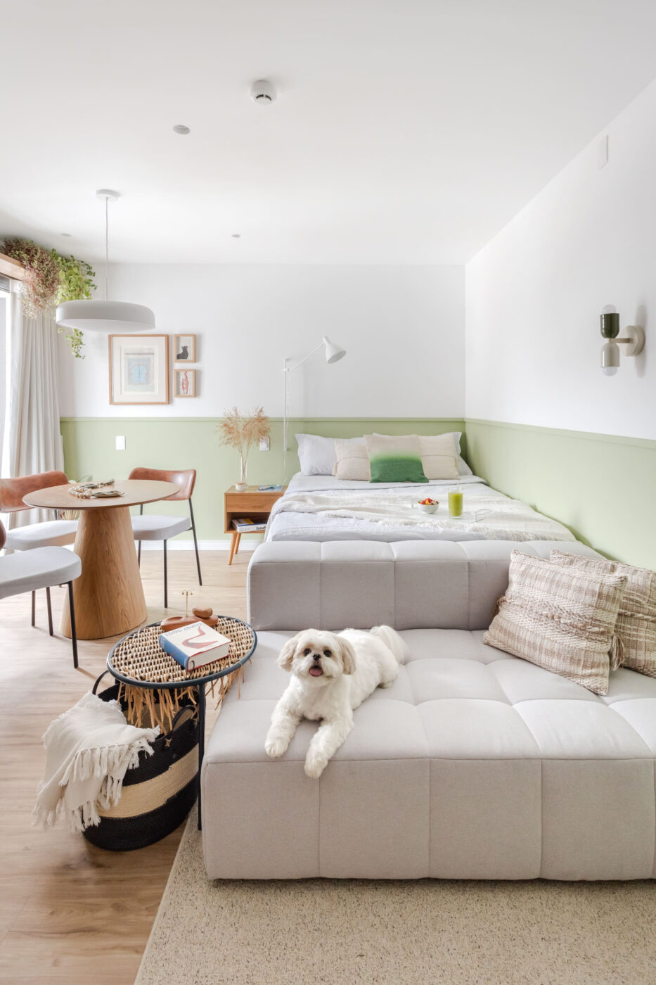 Dia Mundial dos Animais inspira tutores a olharem suas casas