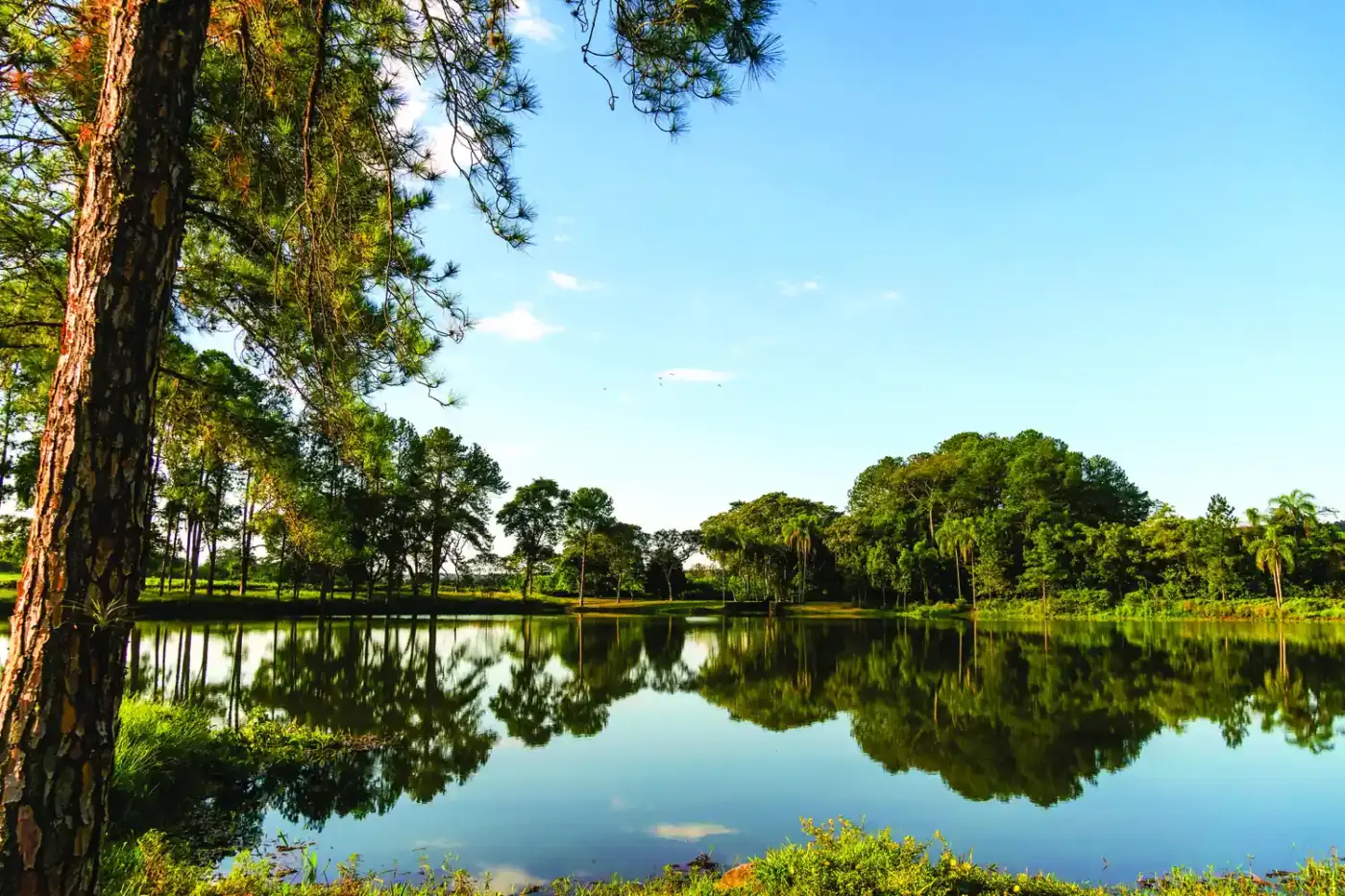 Quinta da Primavera: o encontro entre design, natureza e bem-estar no interior de São Paulo