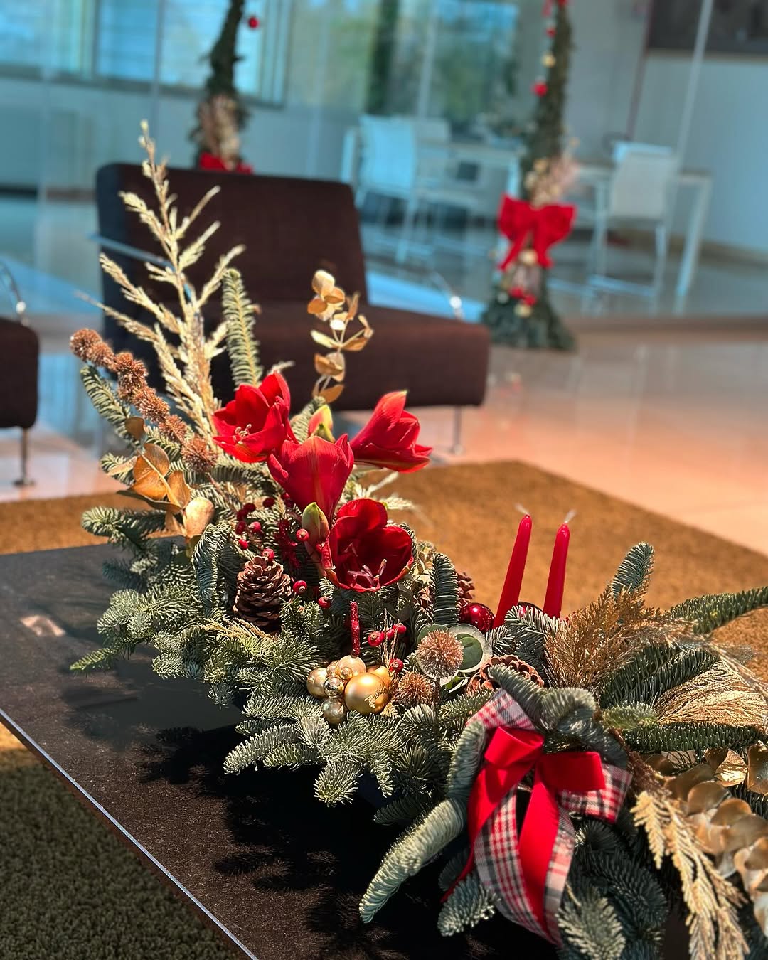 7 plantas com espírito natalino que irão transformar sua casa no fim de ano