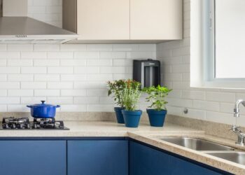 Fotos: Fernando Crescenti