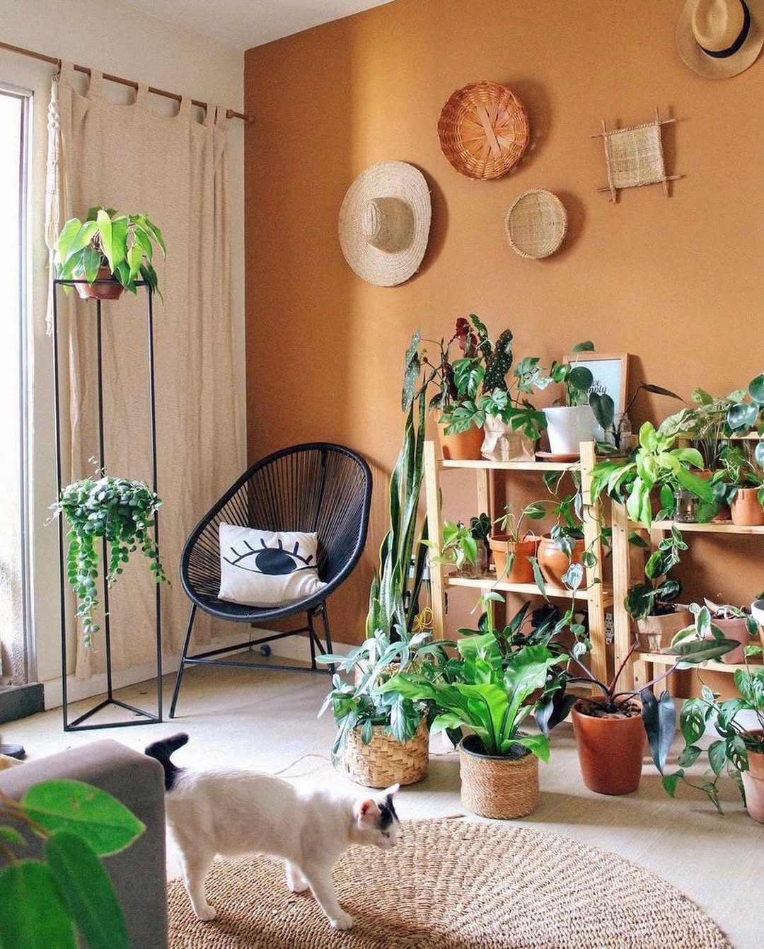 Cadeira Acapulco: como usar o clássico do design latino na sua casa com estilo