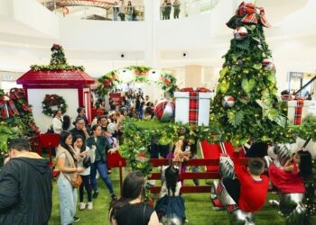 Foto: Vinicius Perbichi