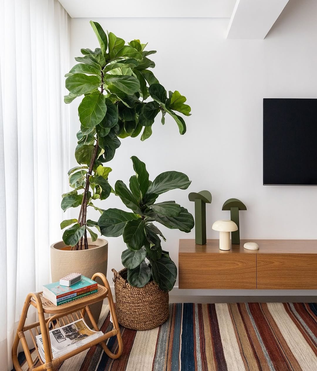 Ficus lyrata na decoração: a planta queridinha do design que transforma qualquer ambiente