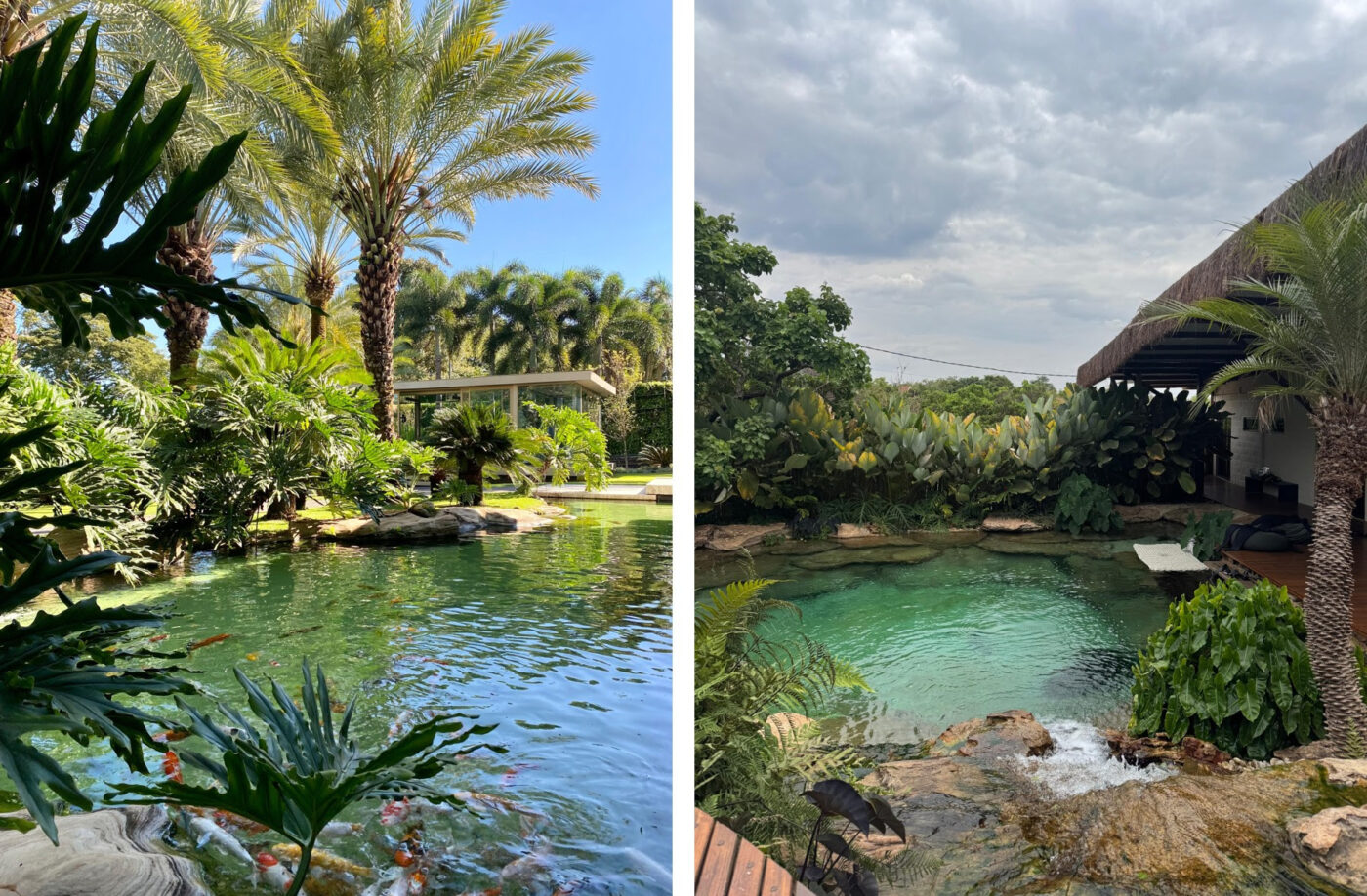 É possível ter um lago natural em casa? Paisagistas respondem!