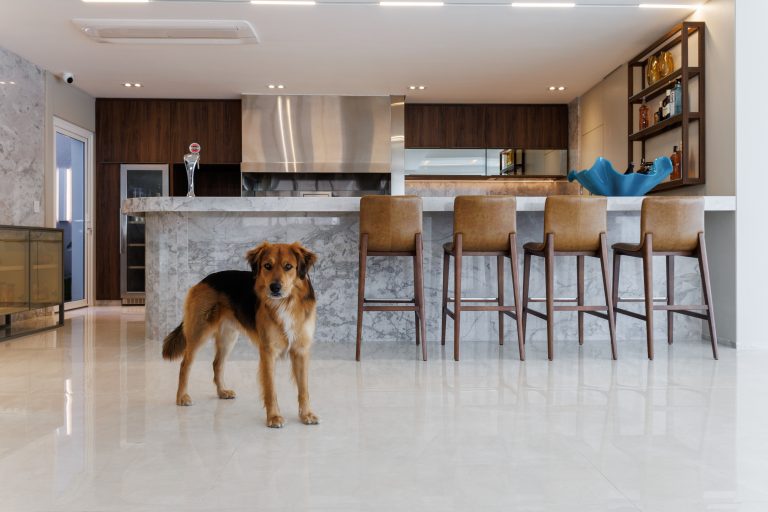 Entre o clássico e o contemporâneo: a residência curitibana que desafia o tempo