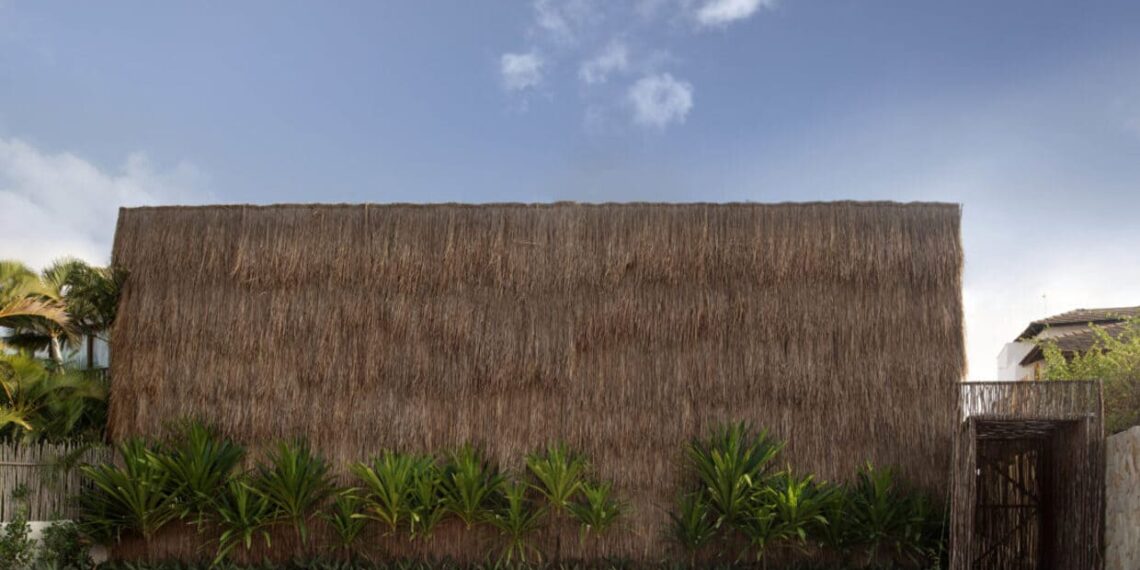 Fotografia: Denilson Machado| MCA Estúdio