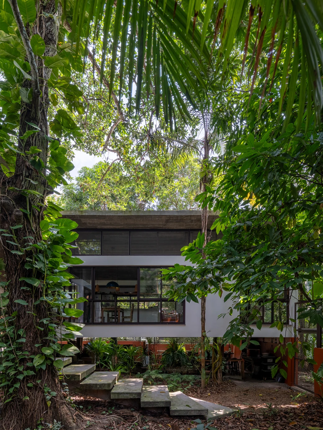 Casa Cajuí: residência em Manaus revela como construir sem romper com a floresta
