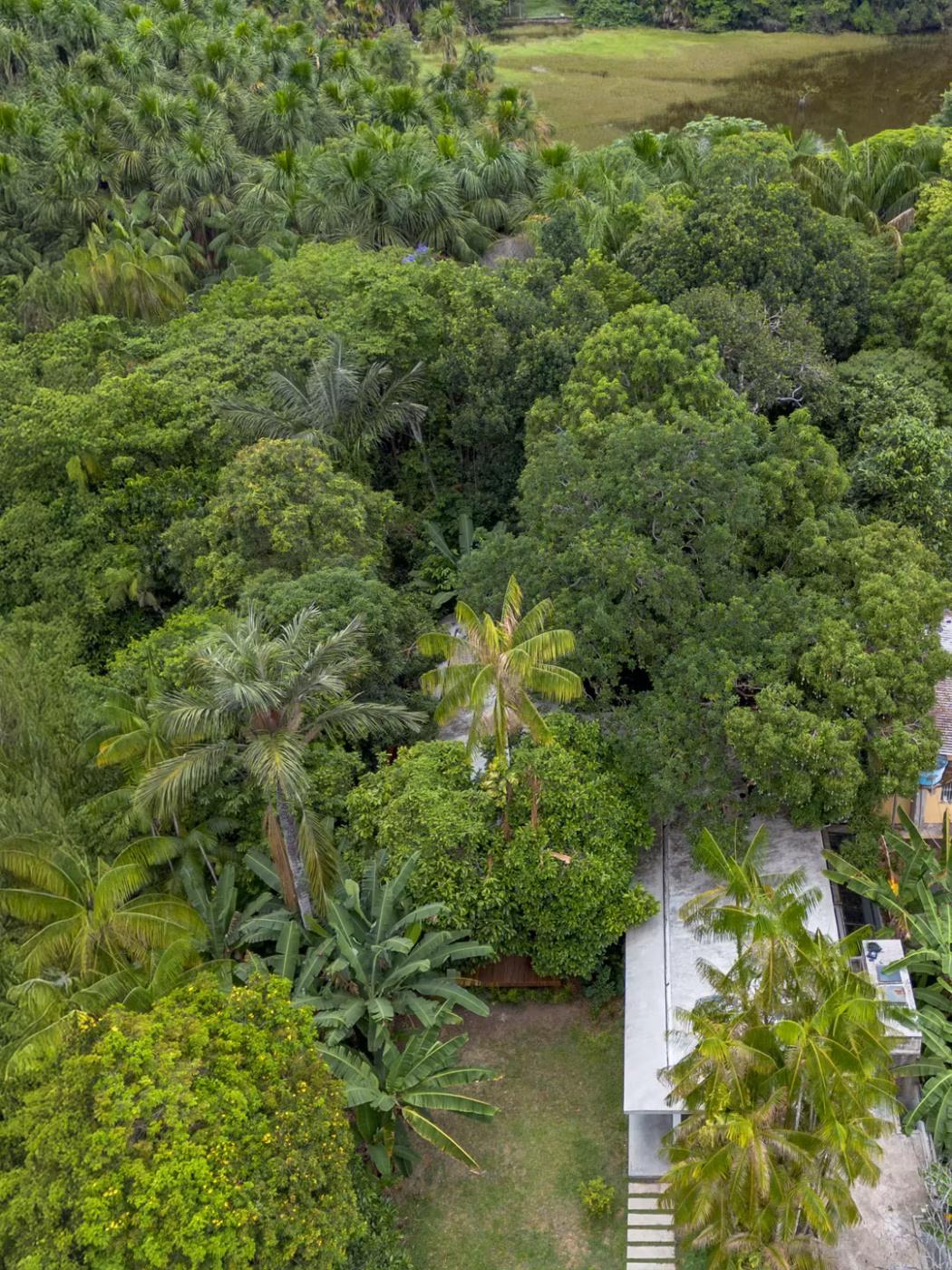 Casa Cajuí: residência em Manaus revela como construir sem romper com a floresta