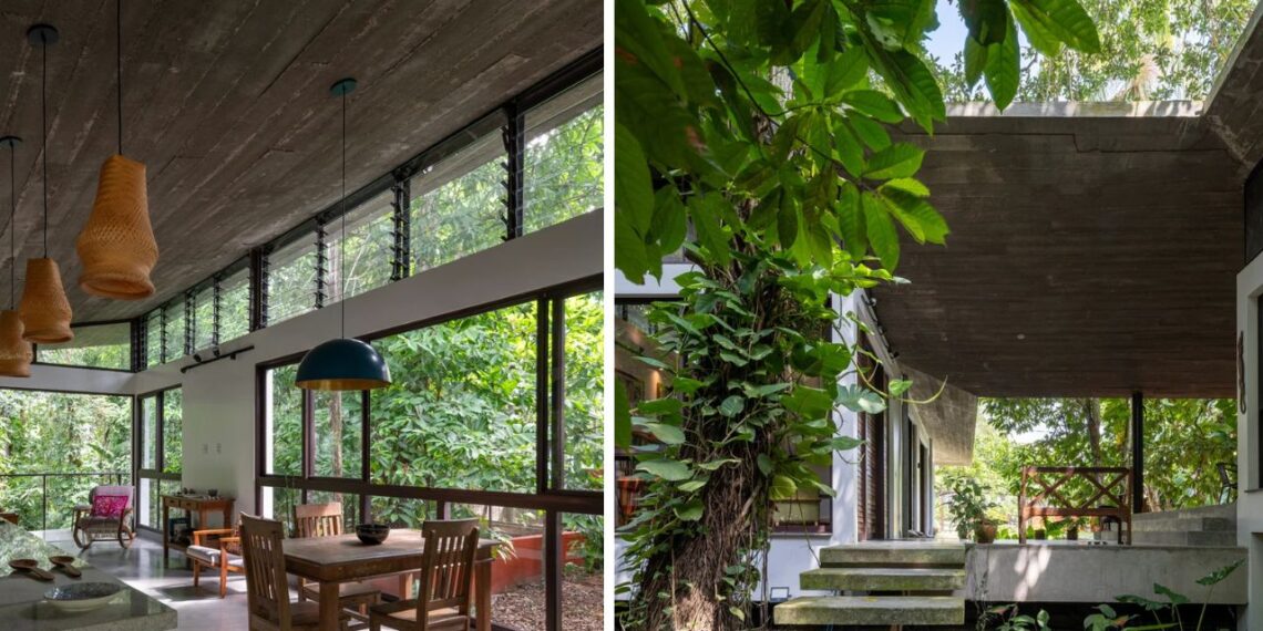 Fotos: Susan Valentim