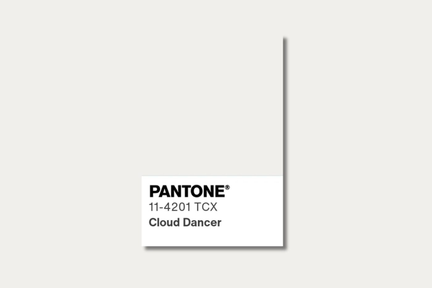 Cloud Dancer é a aposta da Pantone para 2026 e já inspira interiores e comportamento