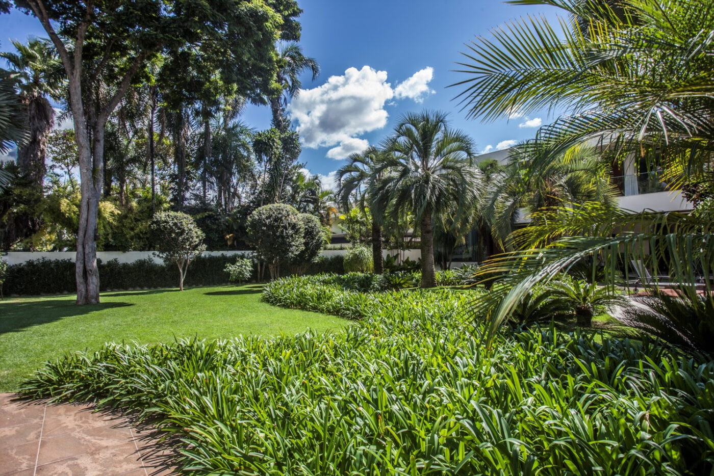 Jardim descomplicado: paisagistas explicam como manter as espécies sempre bonitas e saudáveis