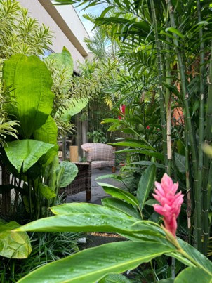 Jardim descomplicado: paisagistas explicam como manter as espécies sempre bonitas e saudáveis