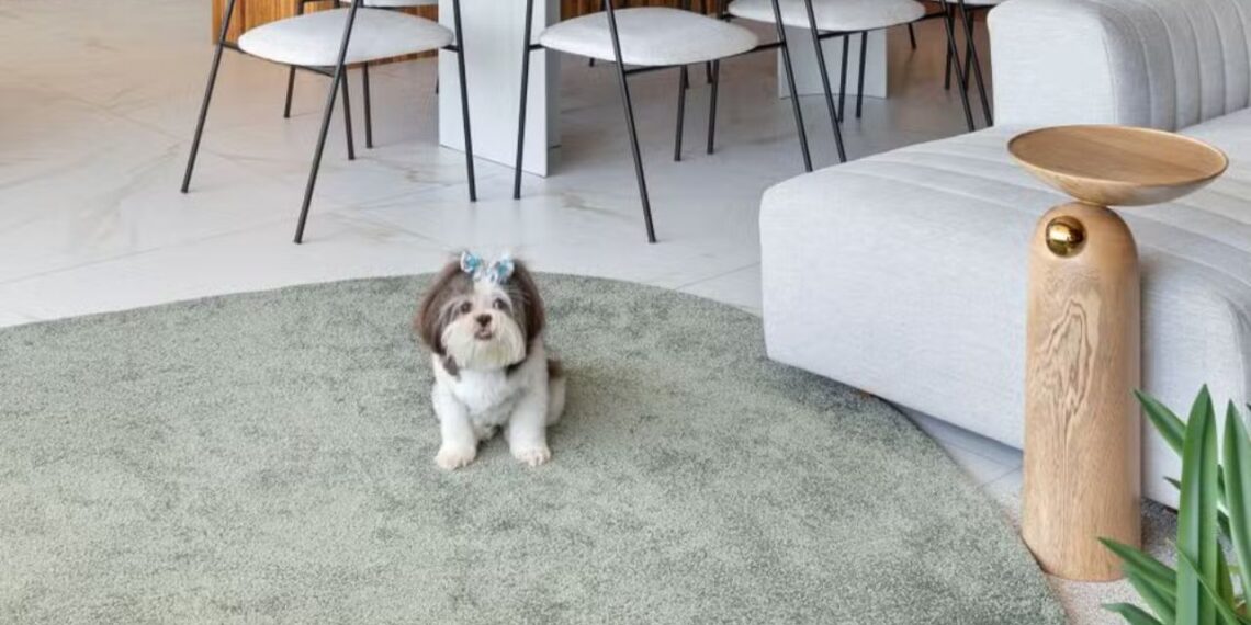 Foto: Andrew França/Divulgação | Projeto do escritório FAAS Arquitetura