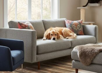 Tecidos pet-friendly: como escolher materiais que resistem aos pets sem perder estilo