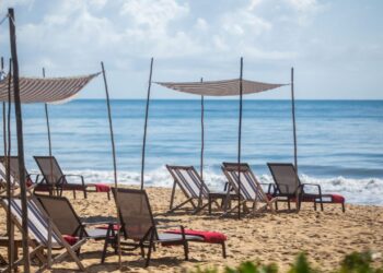 (Foto: Tomás Vianna)