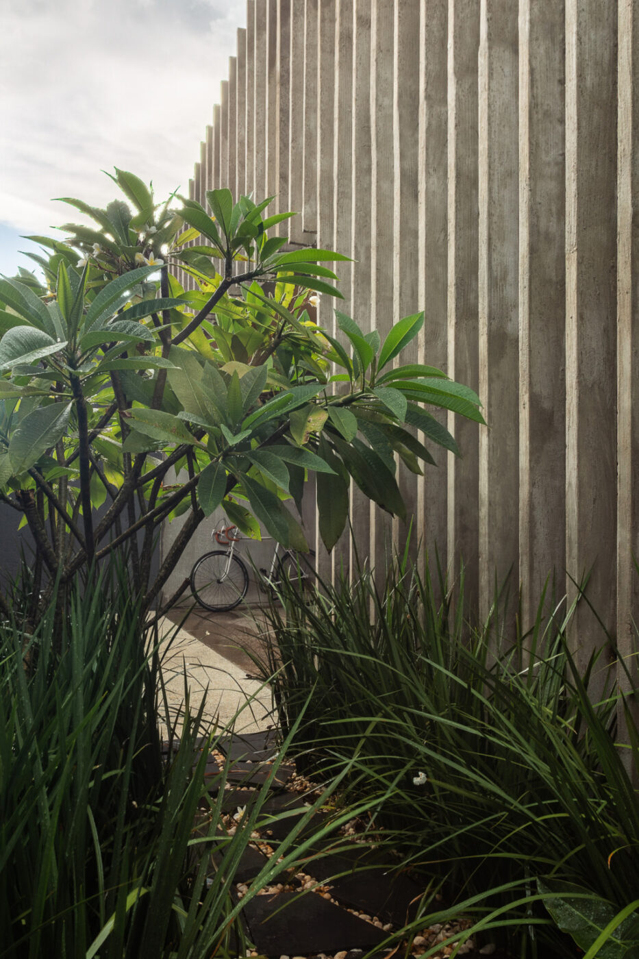 Jardim de 60 cm redefine arquitetura e transforma casa urbana em refúgio natural