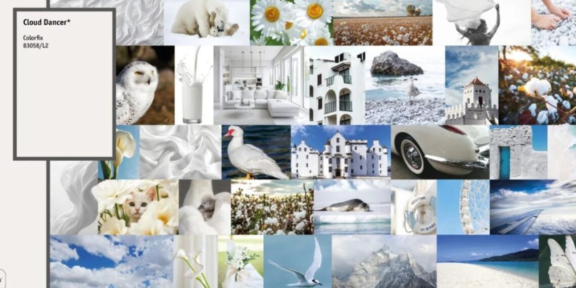 Divulgação/Colorfix