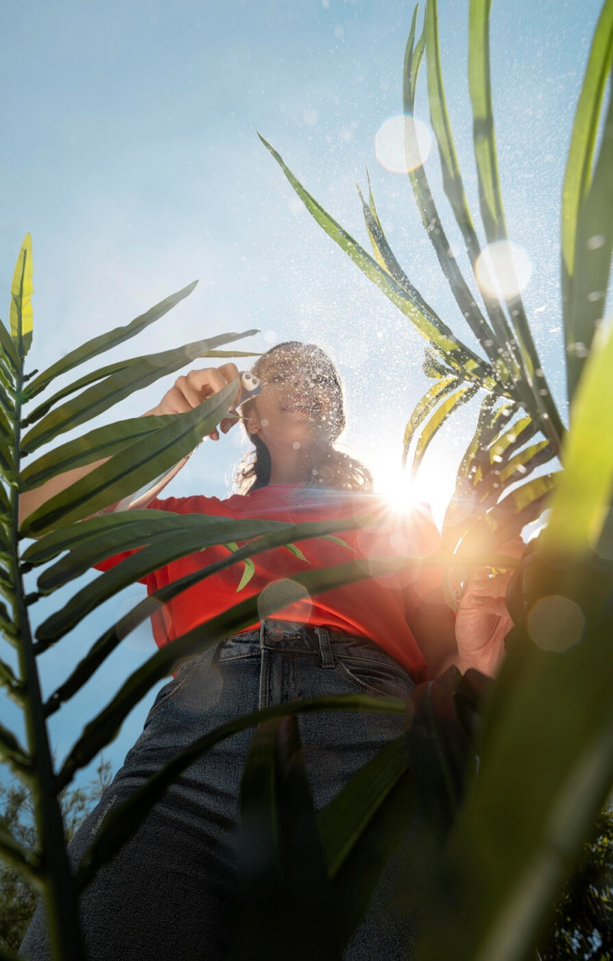 Plantas no Verão: entenda o que muda na rotina de cuidados durante os dias mais quentes