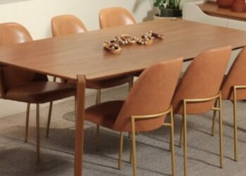 Divulgação Homedock