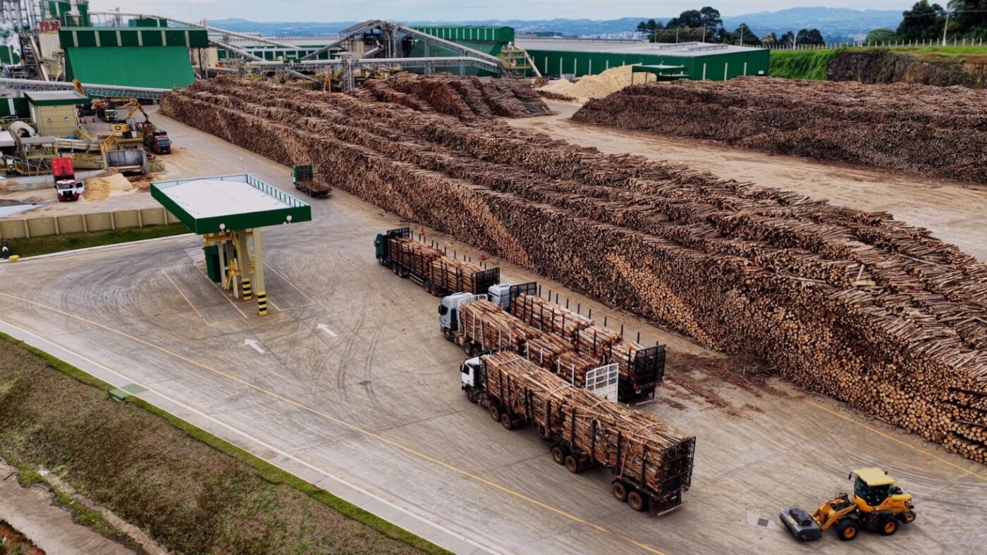 Como o MDF é produzido? Guararapes responde em websérie documental