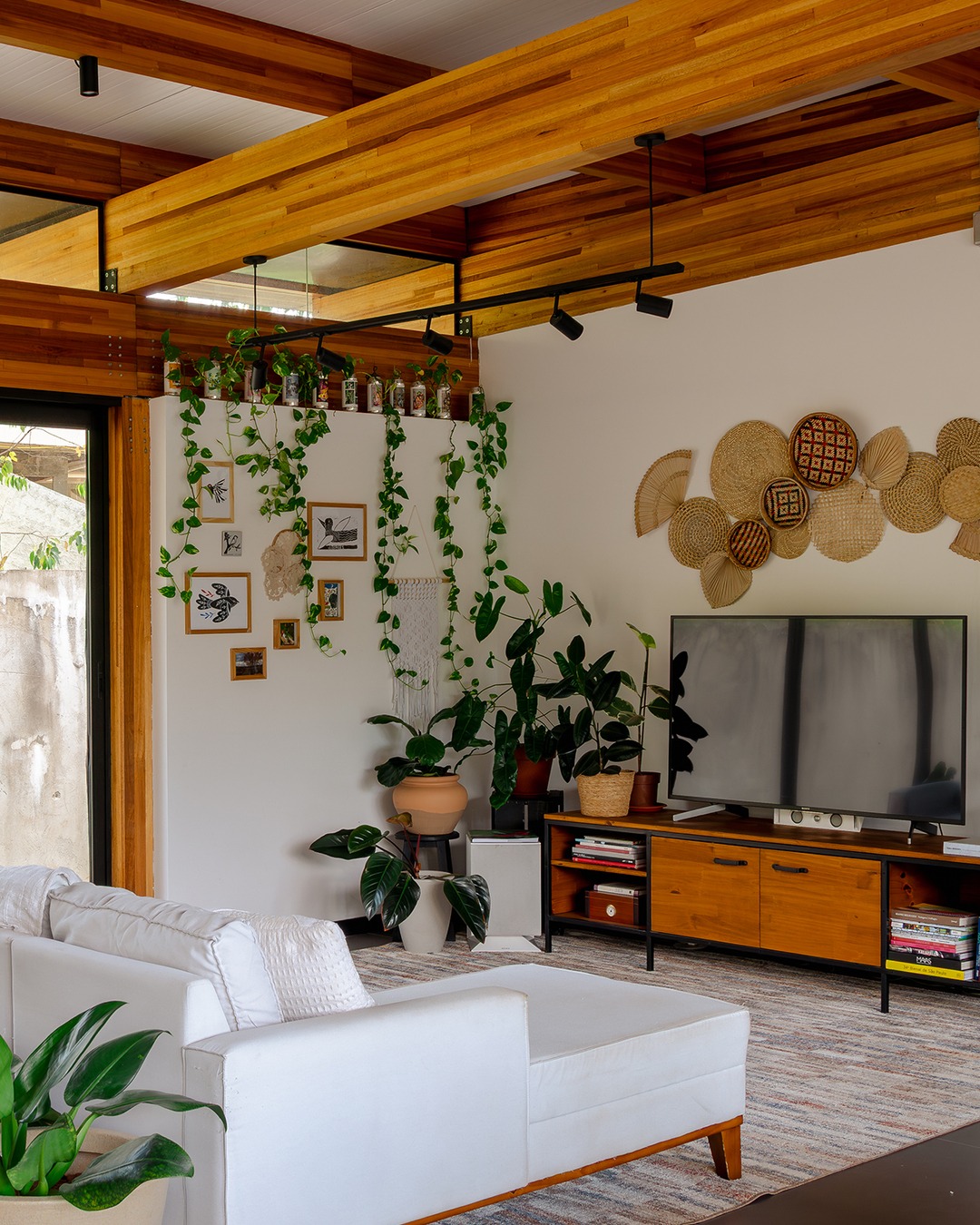 Sala de estar da Casa CLV com forro de madeira laminada colada, plantas pendentes, sofá branco e decoração botânica, projeto Cornetta Arquitetura