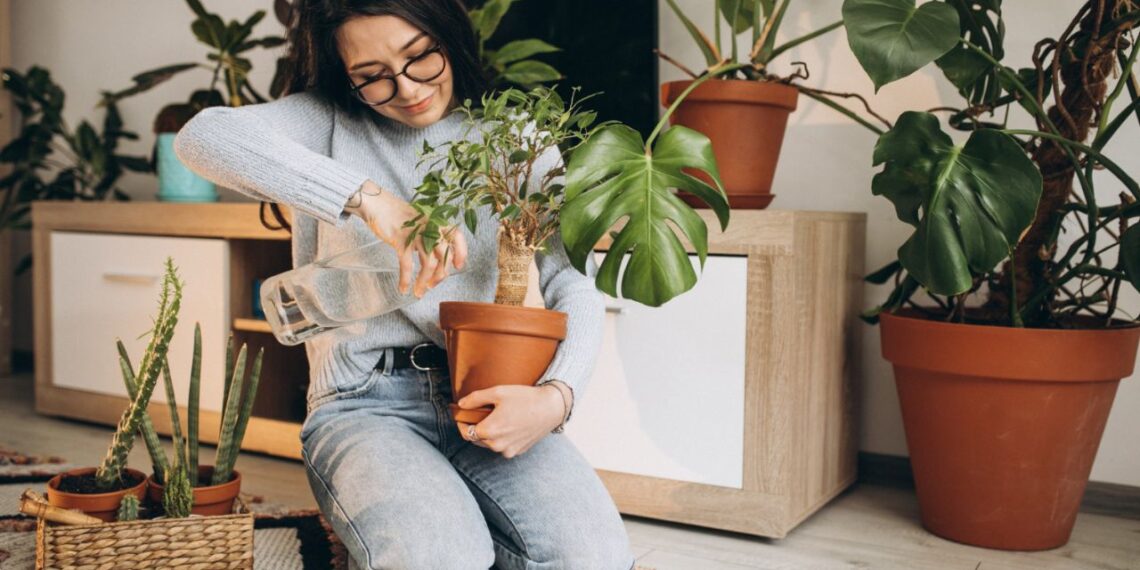 Plantas no Carnaval: como evitar que elas murchem enquanto você viaja