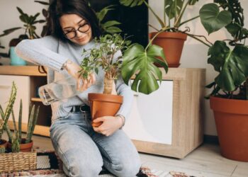 Plantas no Carnaval: como evitar que elas murchem enquanto você viaja