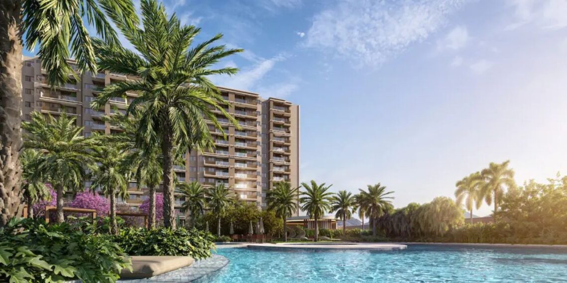 Imagem: Divulgação