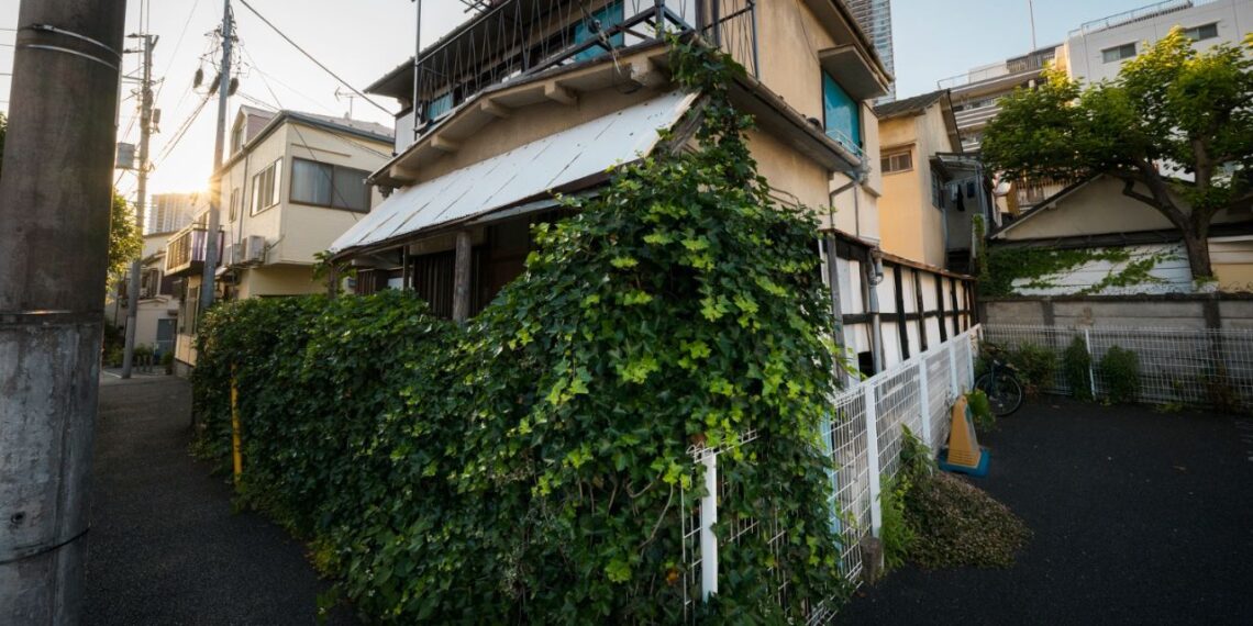 IPTU Verde: o desconto que poucos proprietários usam — e que pode reduzir até metade do imposto