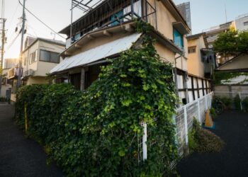 IPTU Verde: o desconto que poucos proprietários usam — e que pode reduzir até metade do imposto