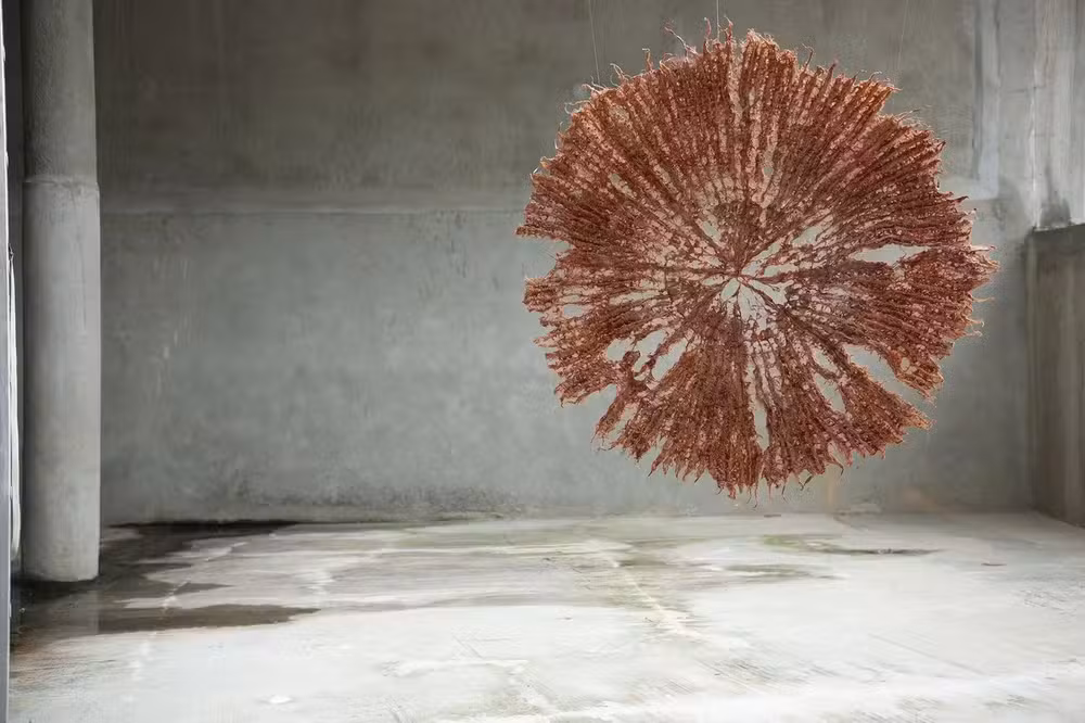 Designer britânica transforma raízes de plantas em design sustentável de impacto