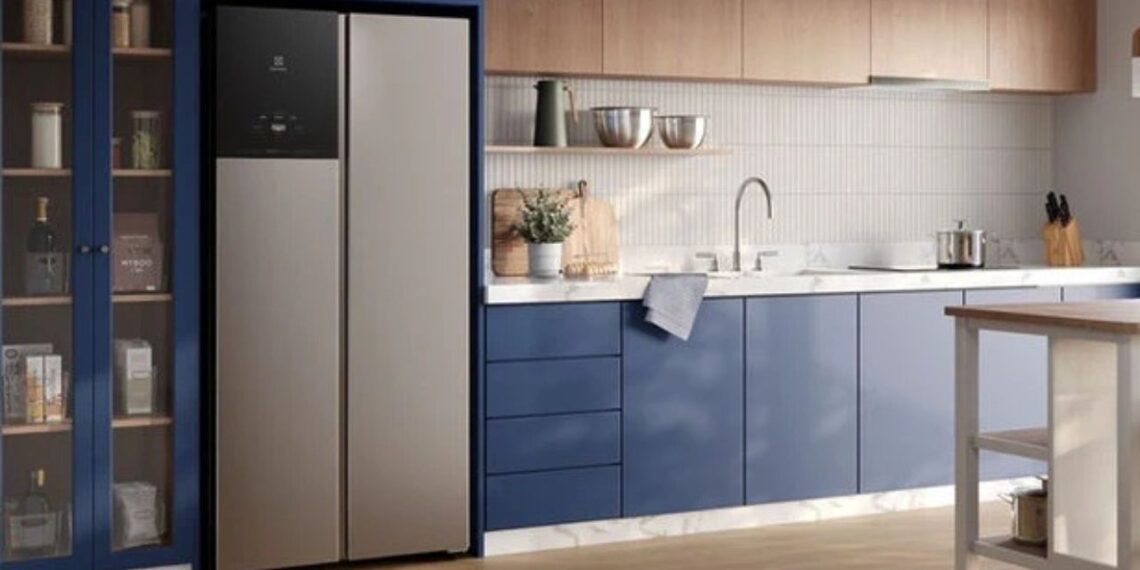 Electrolux: 100 anos transformando a casa dos brasileiros