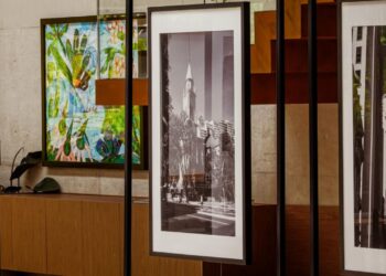 Foto: Kaio Jonnet Pereira de Araujo / @kaio_jonnata