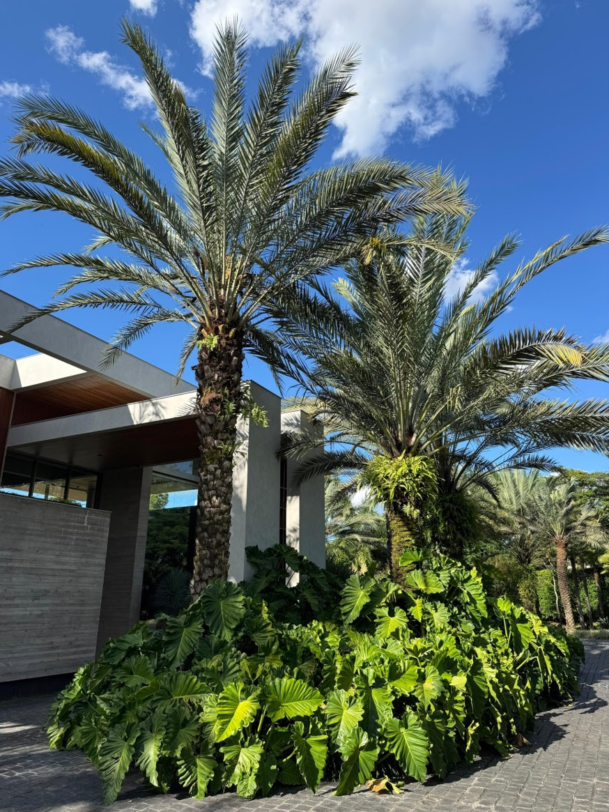 Paisagismo em pauta: o que já é tendência e o que deve ganhar força