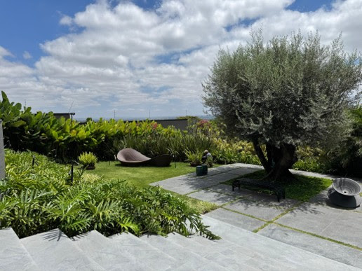 Paisagismo em pauta: o que já é tendência e o que deve ganhar força
