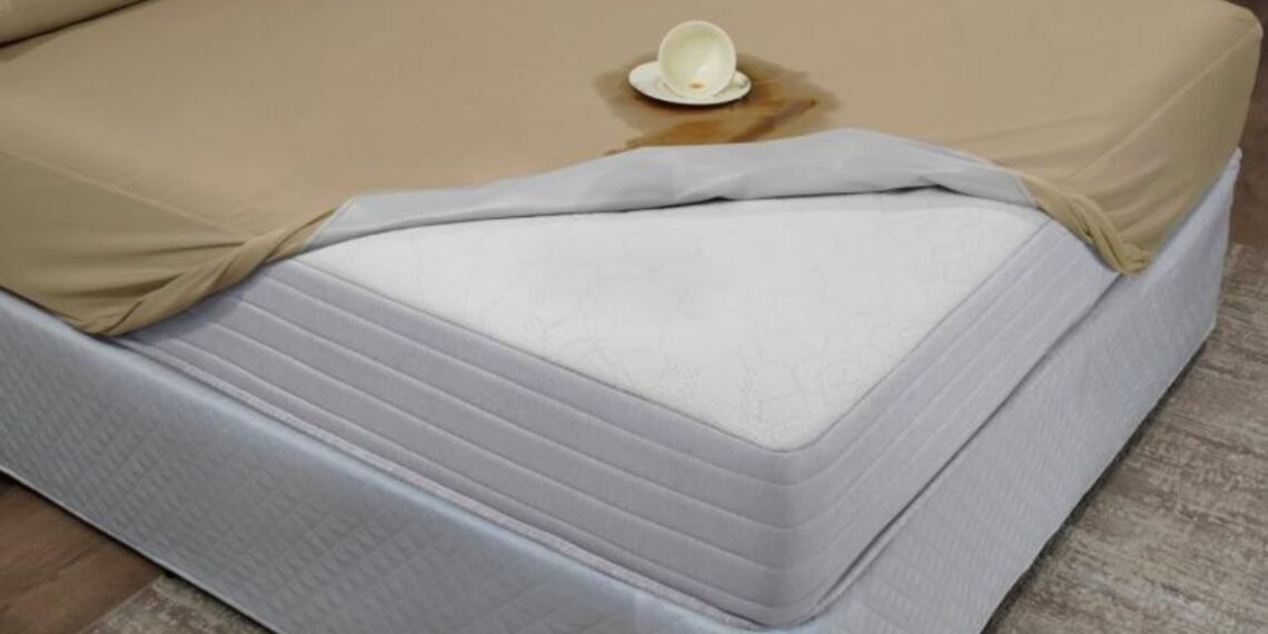 Protetor de colchão pode transformar o consumo do sistema de sono no país
