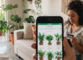 Comprar plantas online tem armadilhas que o entusiasta de decoração precisa conhecer