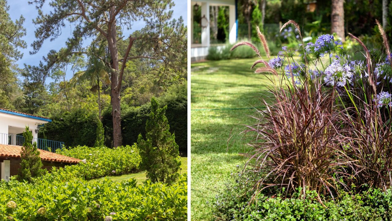 Jardim que respira a serra: o paisagismo que transformou uma casa de campo em Teresópolis em refúgio de contemplação