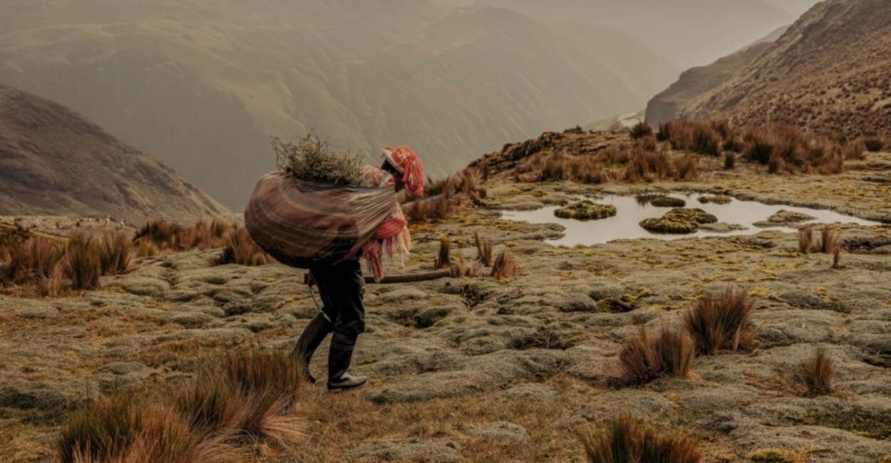 Uma das imagens do ensaio “Planting Water” (foto: Musuk Nolte)