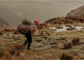 Uma das imagens do ensaio “Planting Water” (foto: Musuk Nolte)